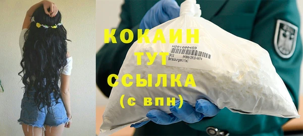 прущие крисы Горняк