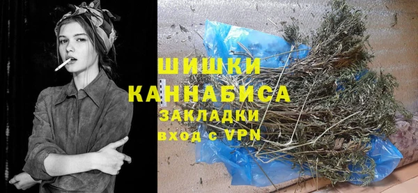 прущие крисы Горняк