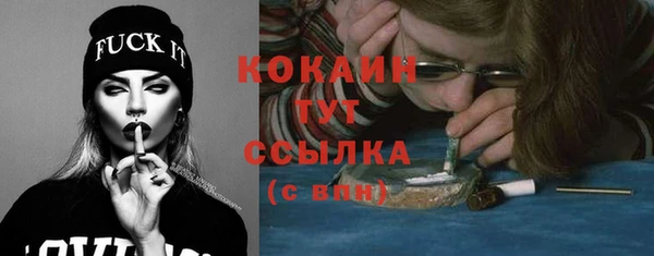 стаф Тутаев