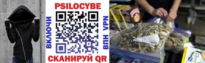 Купить  Аша  Псилоцибиновые грибы мицелий 